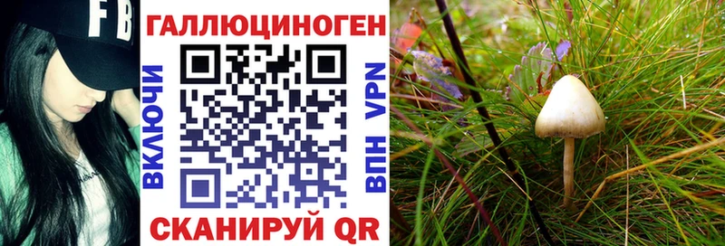 Псилоцибиновые грибы прущие грибы Гагарин